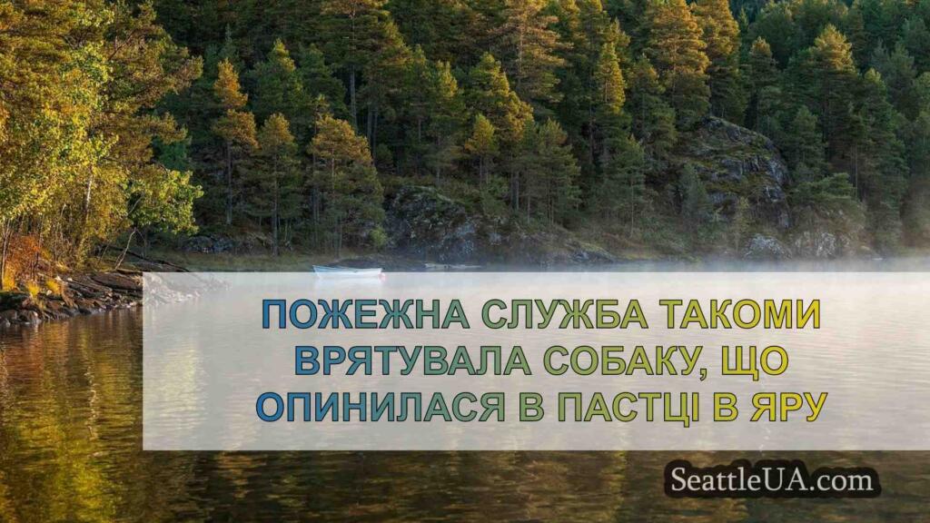 Пожежна служба Такоми врятувала собаку,