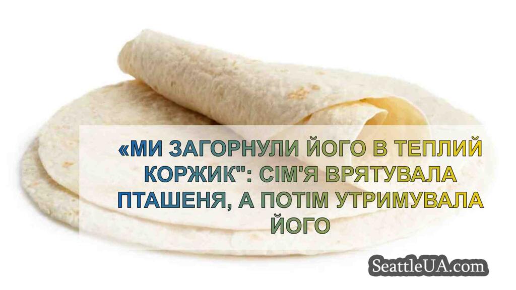 «Ми загорнули його в теплий коржик: