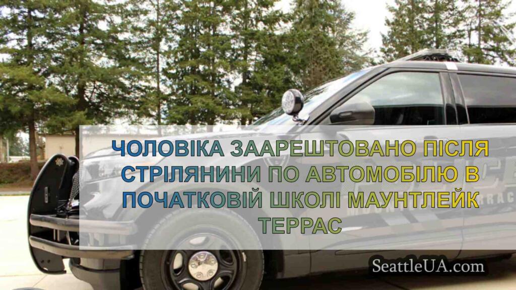 Чоловіка заарештовано після стрілянини