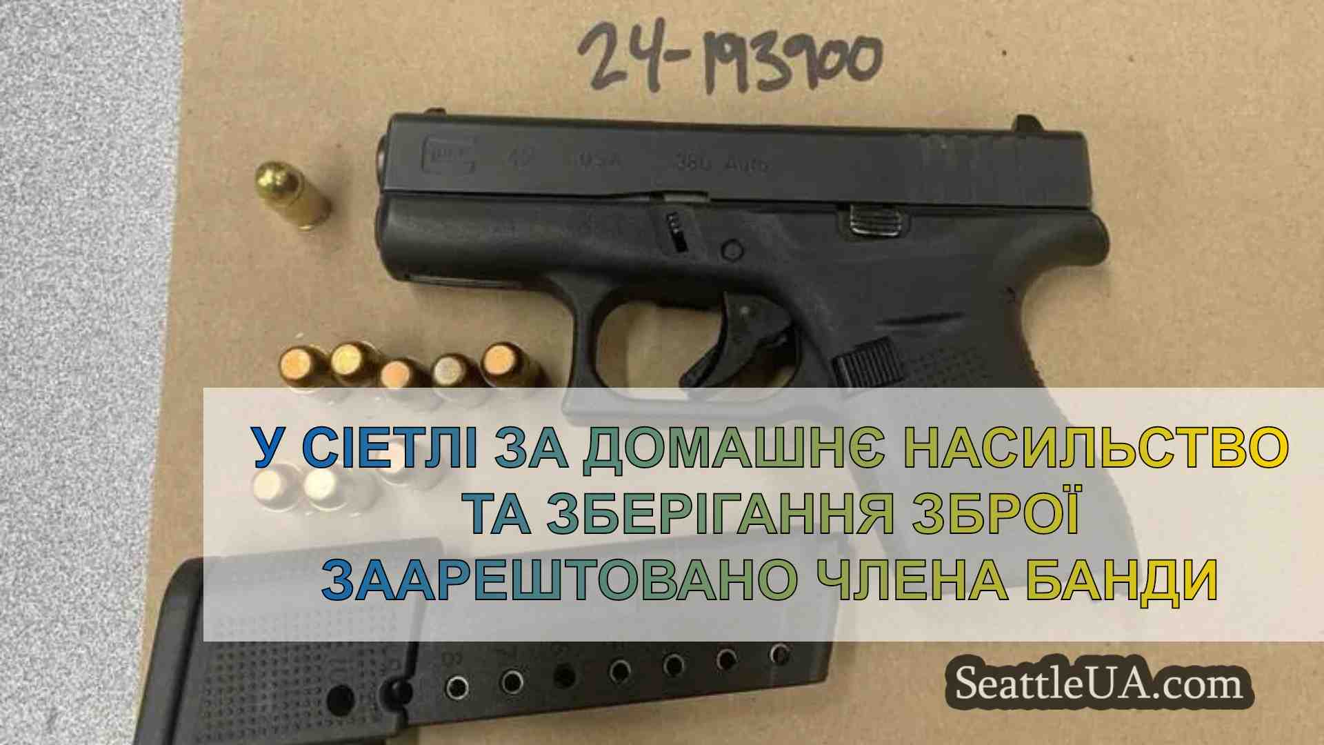 У Сіетлі за домашнє насильство та