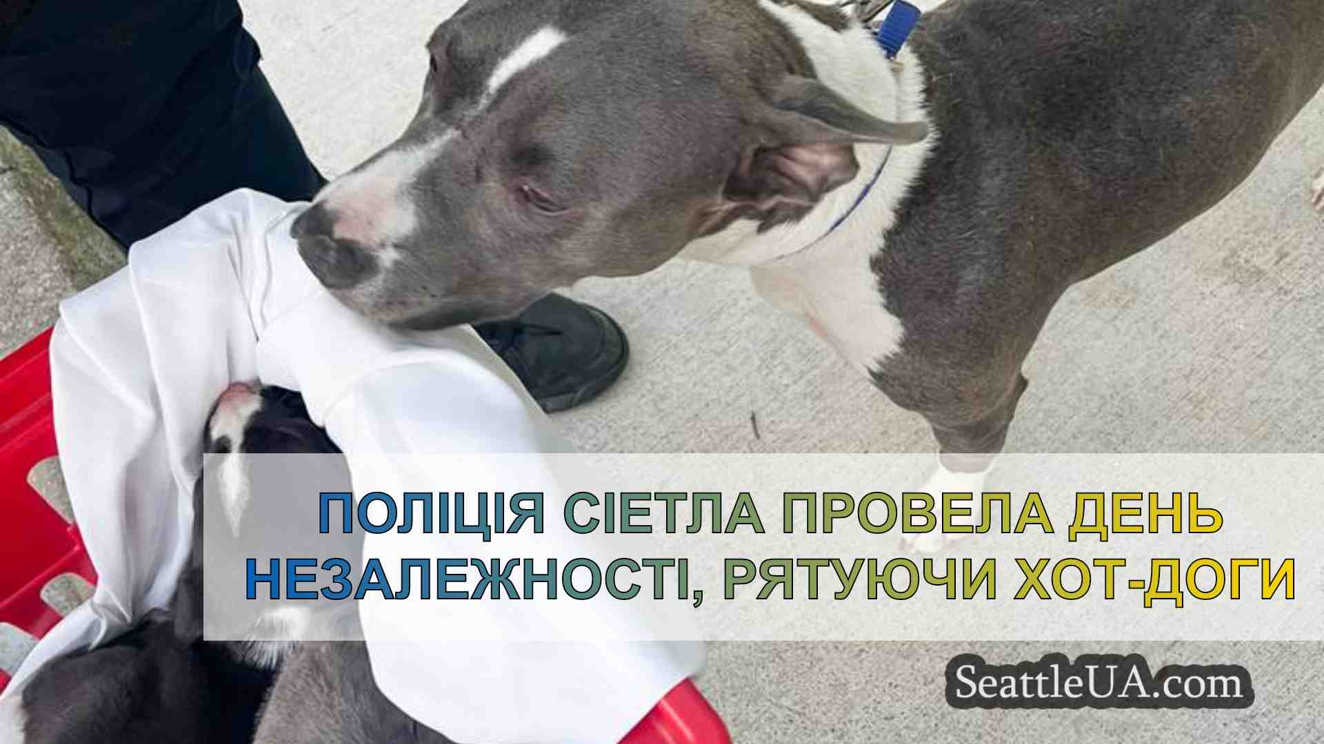 Новини Сіетла SeattleUA