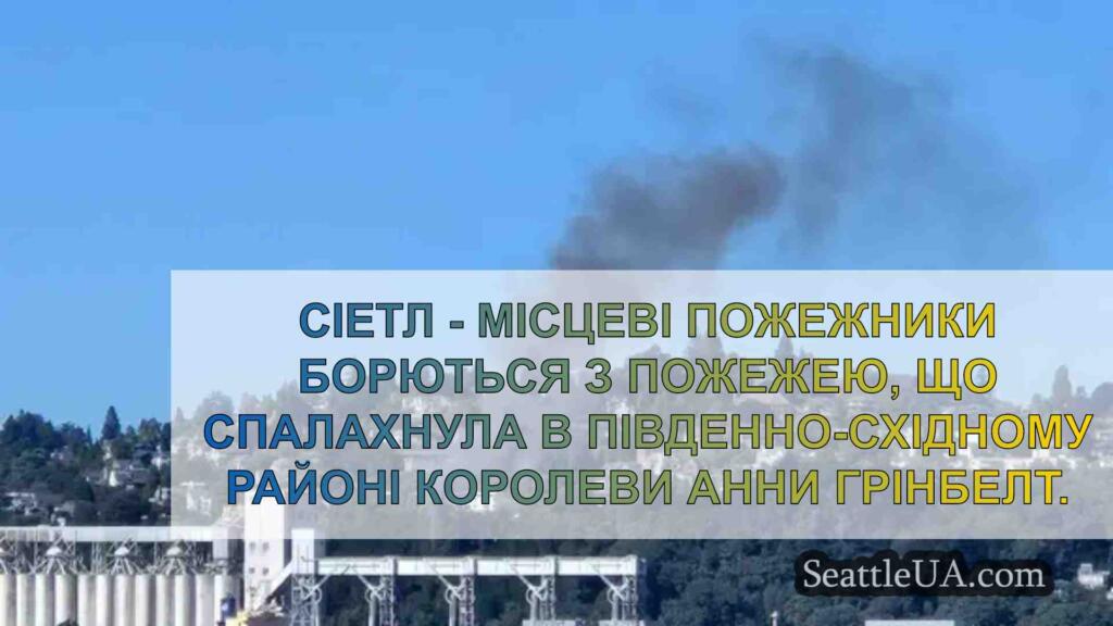 Пожежа, що спалахнула на
