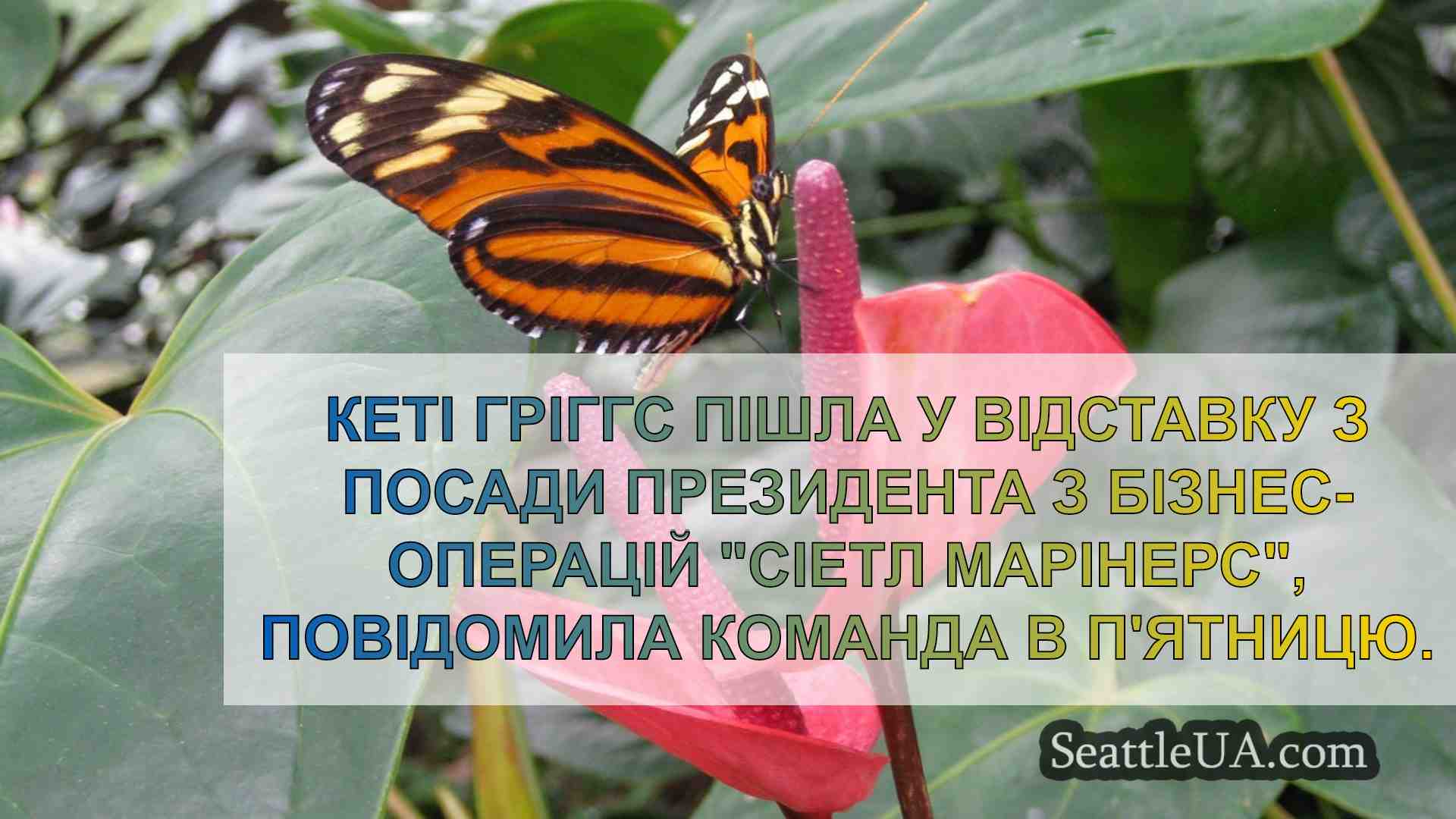 Новини Сіетла SeattleUA