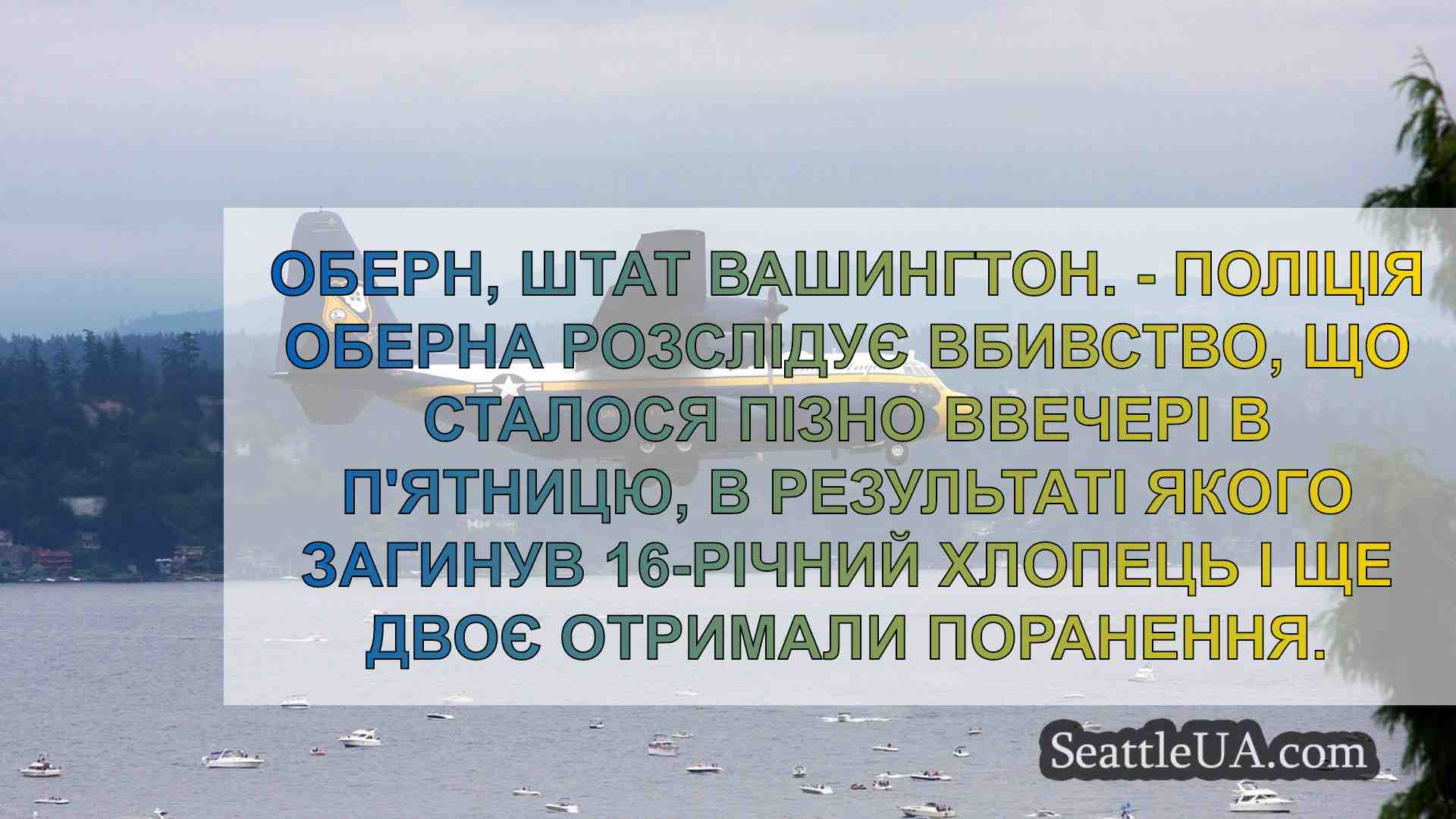 16-річний хлопець загинув у стрілянині