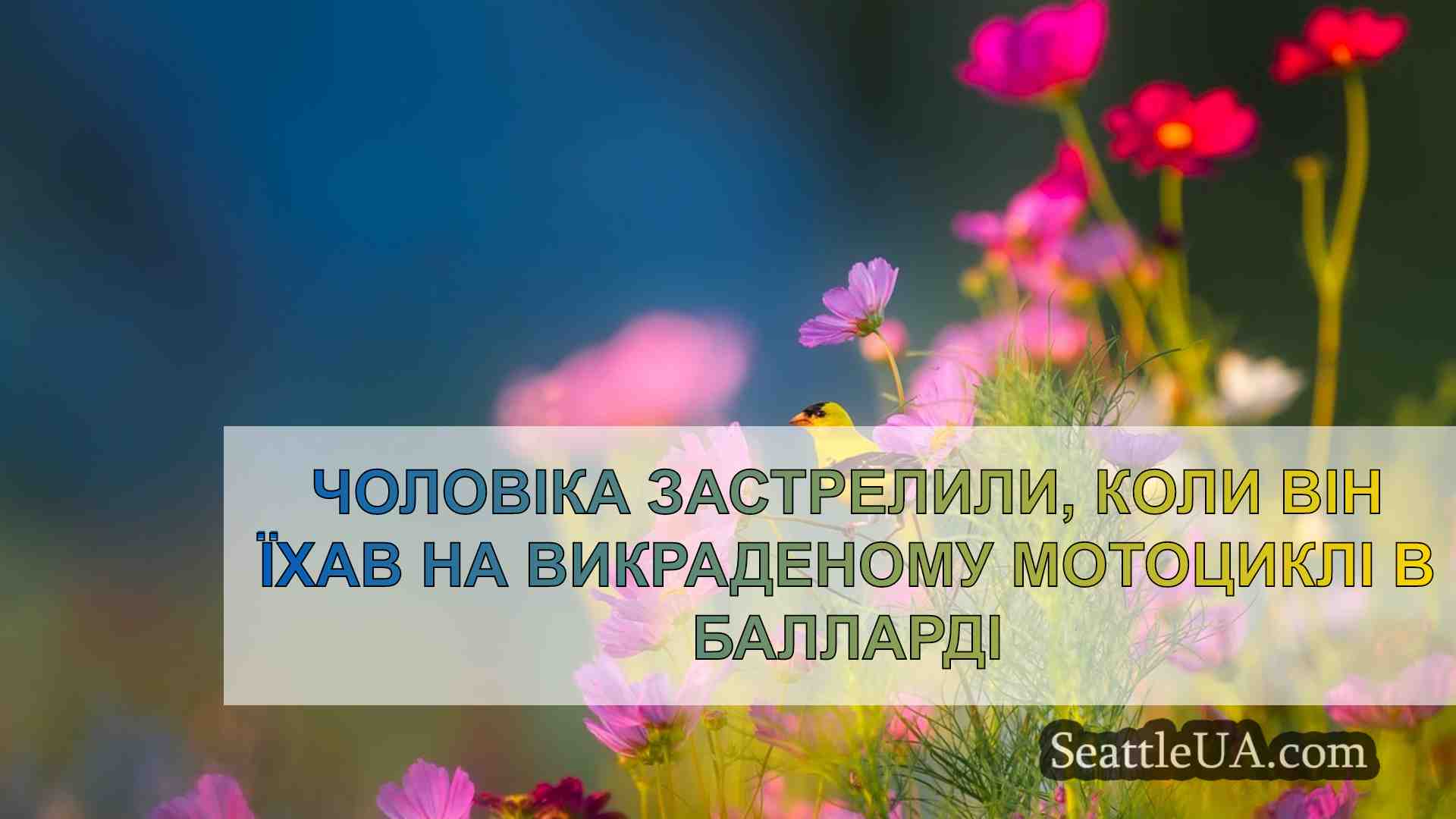 Новини Сіетла SeattleUA