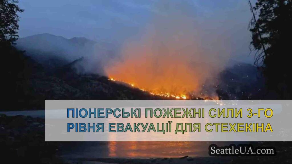 Піонерські пожежні сили 3-го рівня