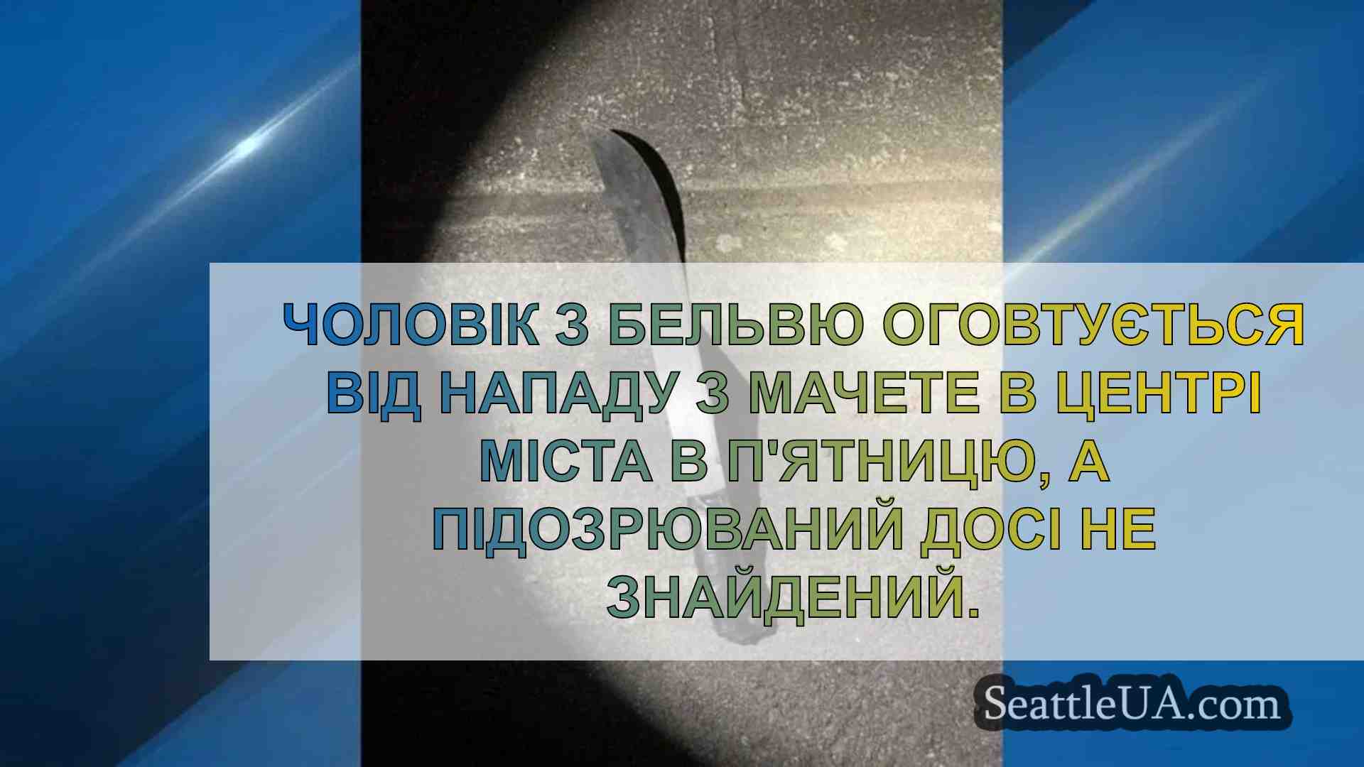 Підозрюваного розшукують після