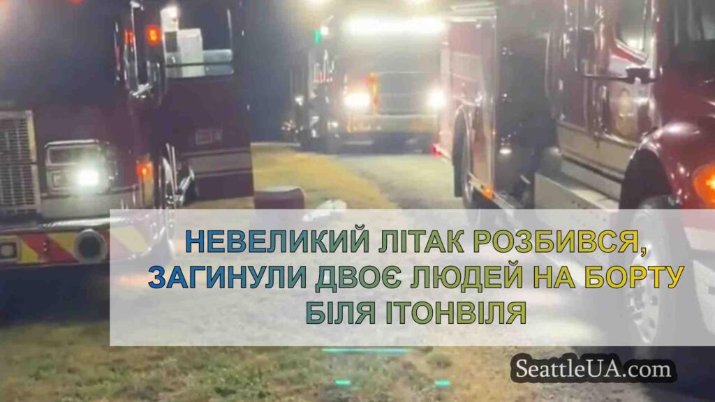 Невеликий літак розбився, загинули двоє
