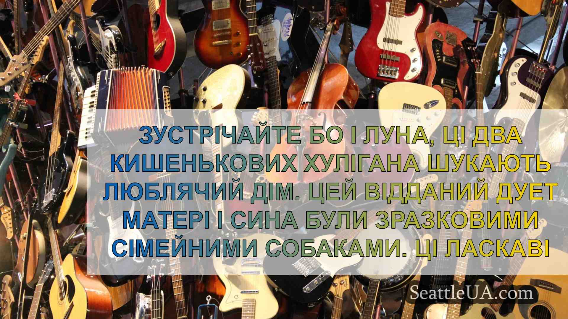 Новини Сіетла SeattleUA