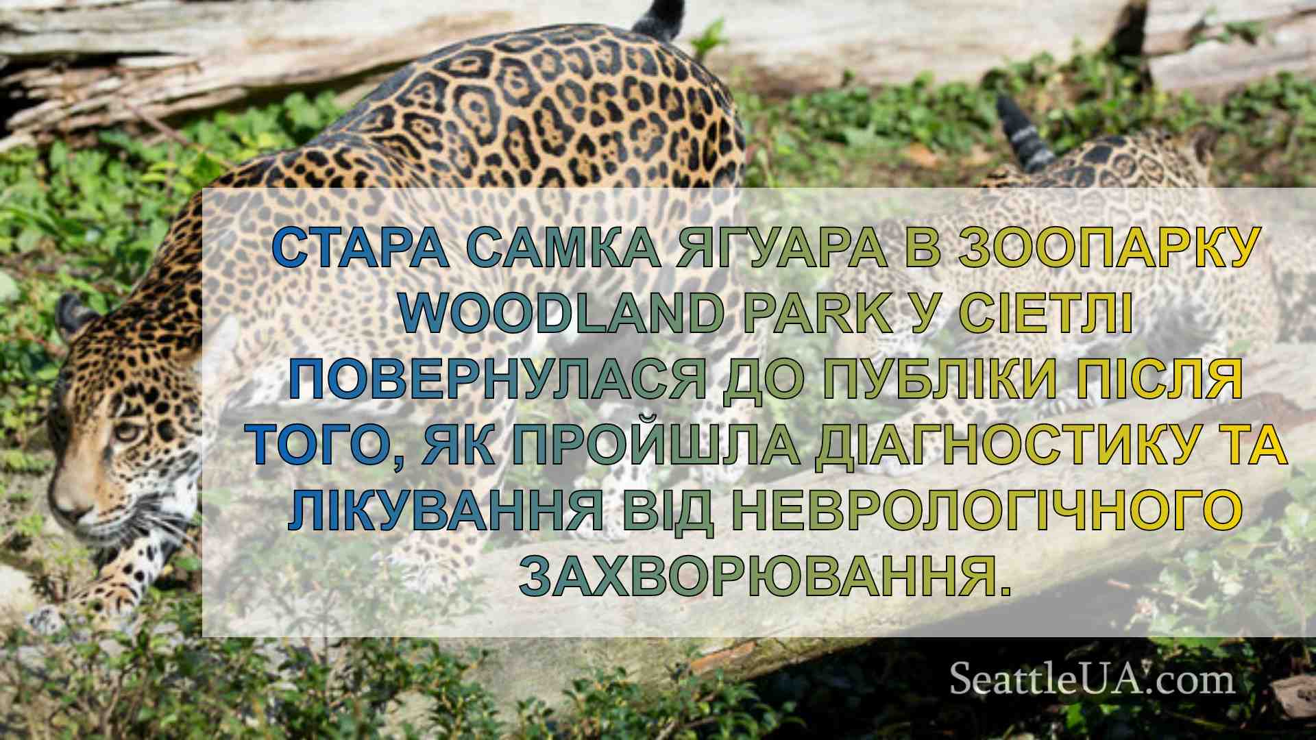 Новини Сіетла SeattleUA