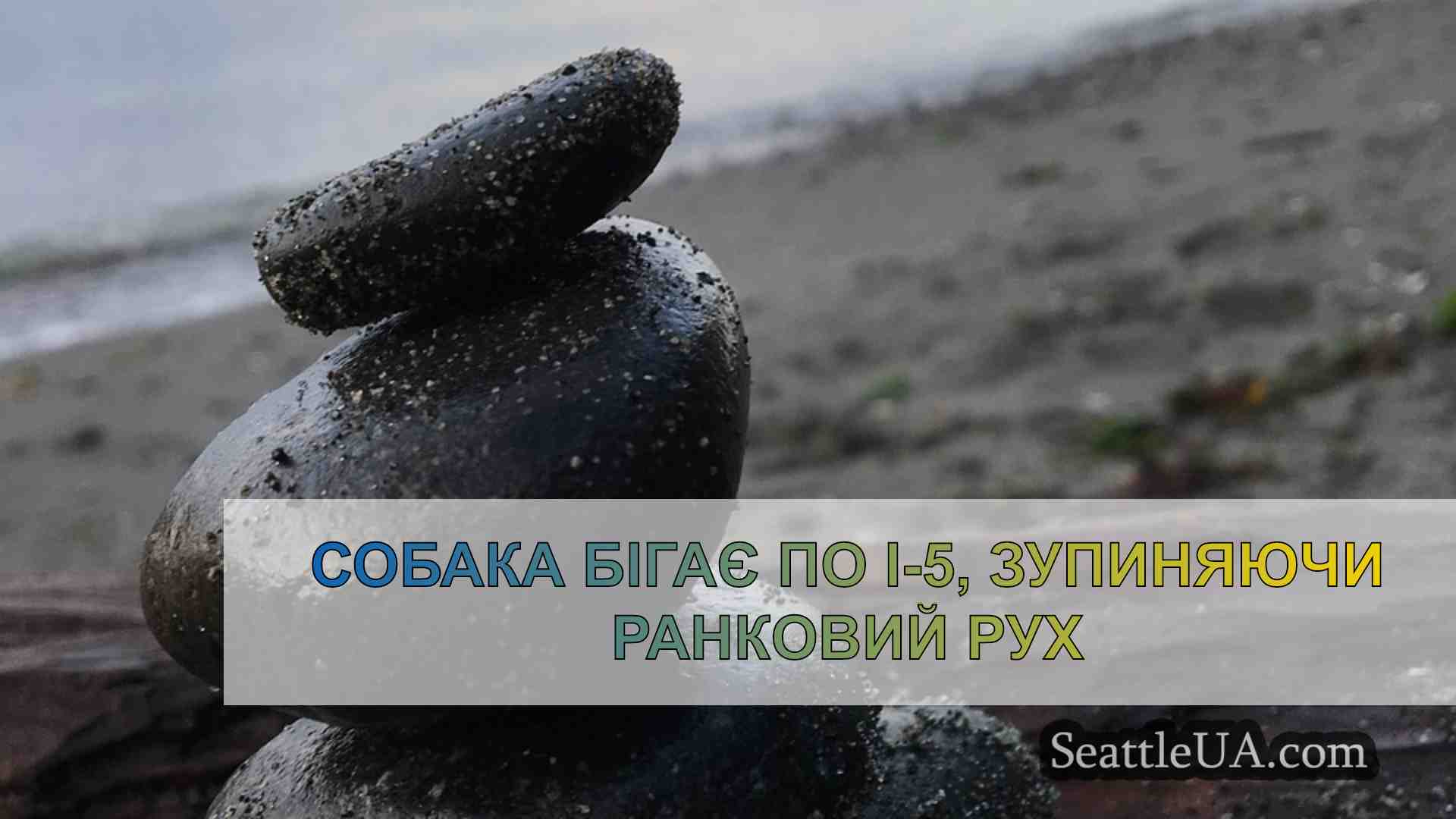 Новини Сіетла SeattleUA