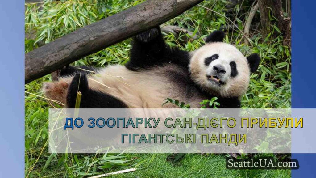 До зоопарку Сан-Дієго прибули