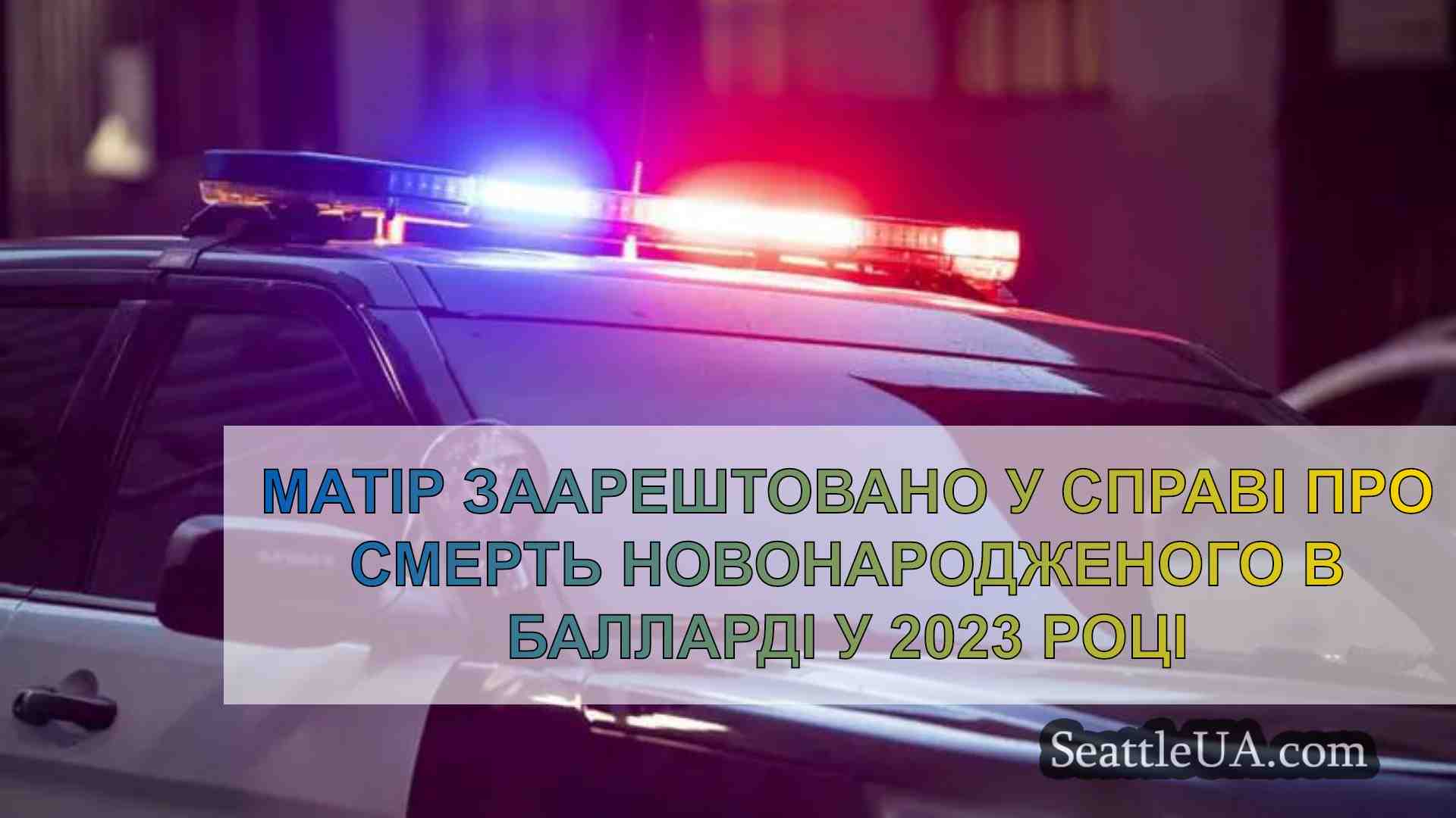 Матір заарештовано у справі про смерть