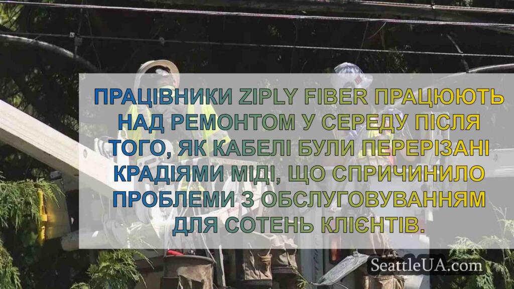 Крадії мідного дроту виводять з ладу
