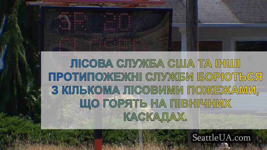 Кілька великих лісових пожеж на