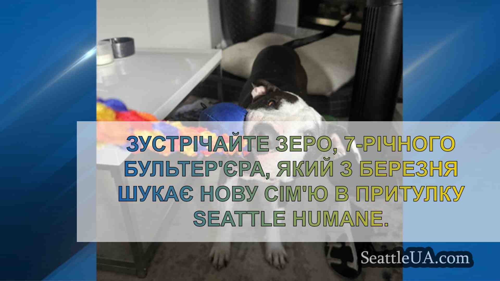 Новини Сіетла SeattleUA