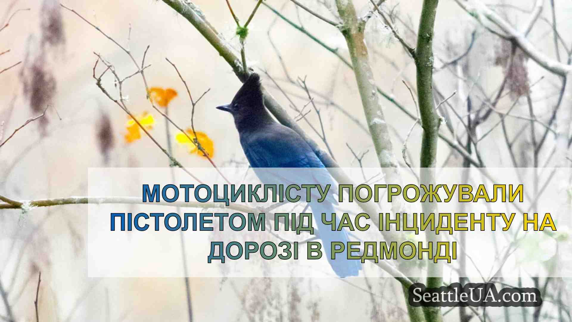 Новини Сіетла SeattleUA