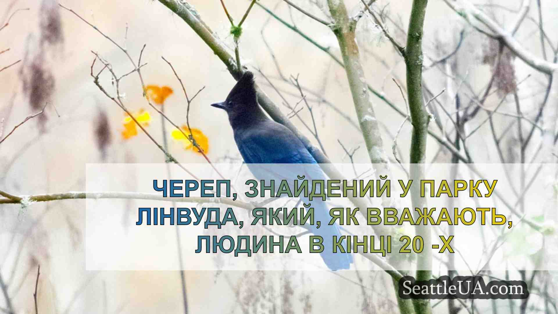 Новини Сіетла SeattleUA