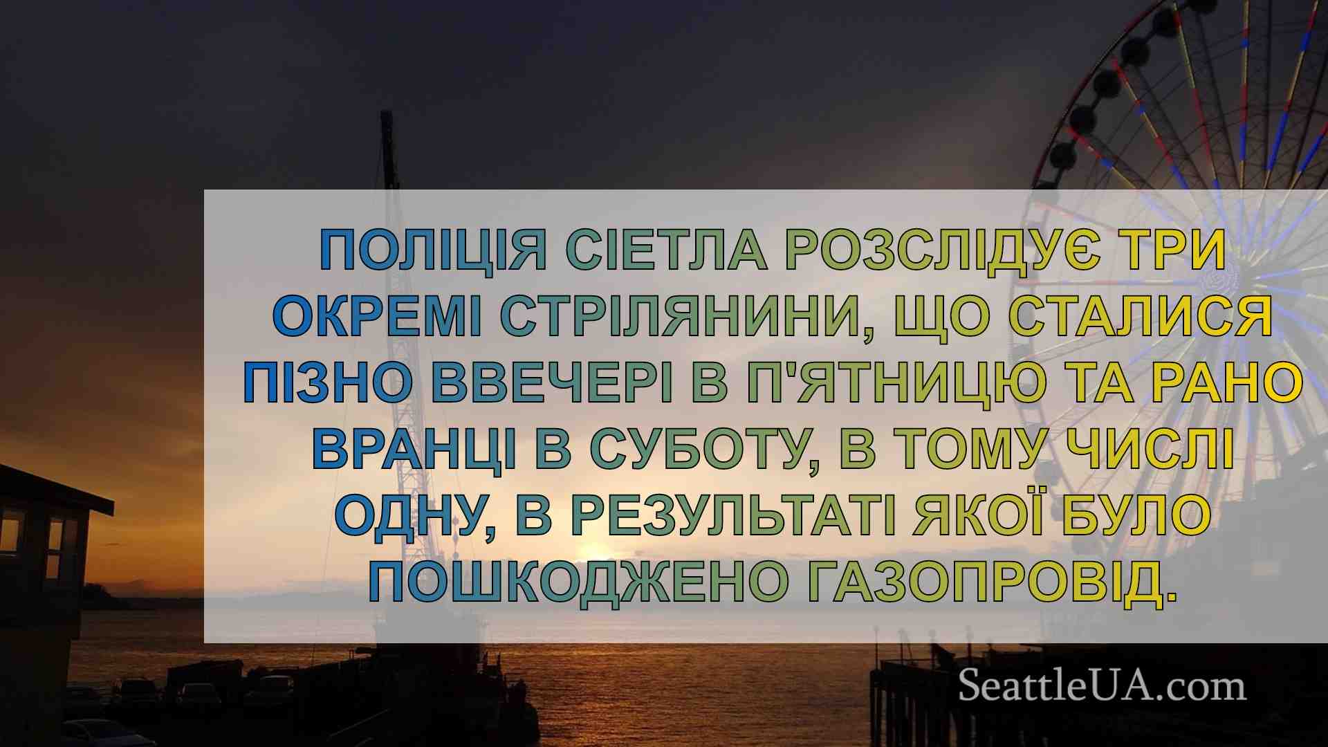 Жінку заарештували за стрілянину