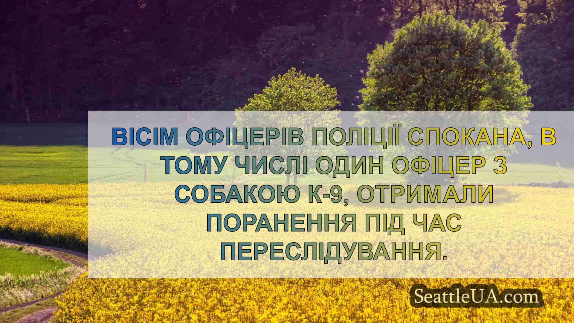 Під час переслідування поранено вісьмох