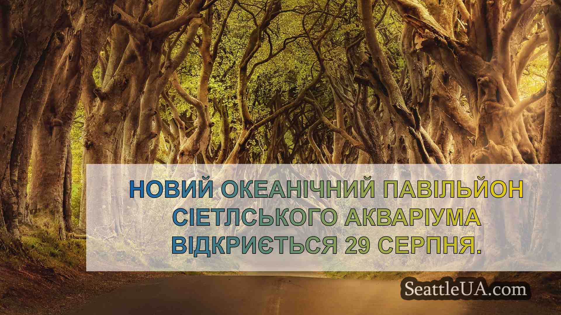 Новини Сіетла SeattleUA