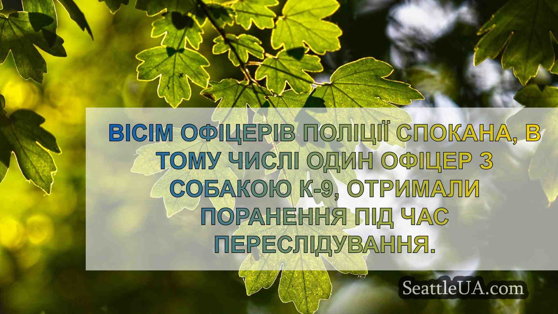 Новини Сіетла SeattleUA