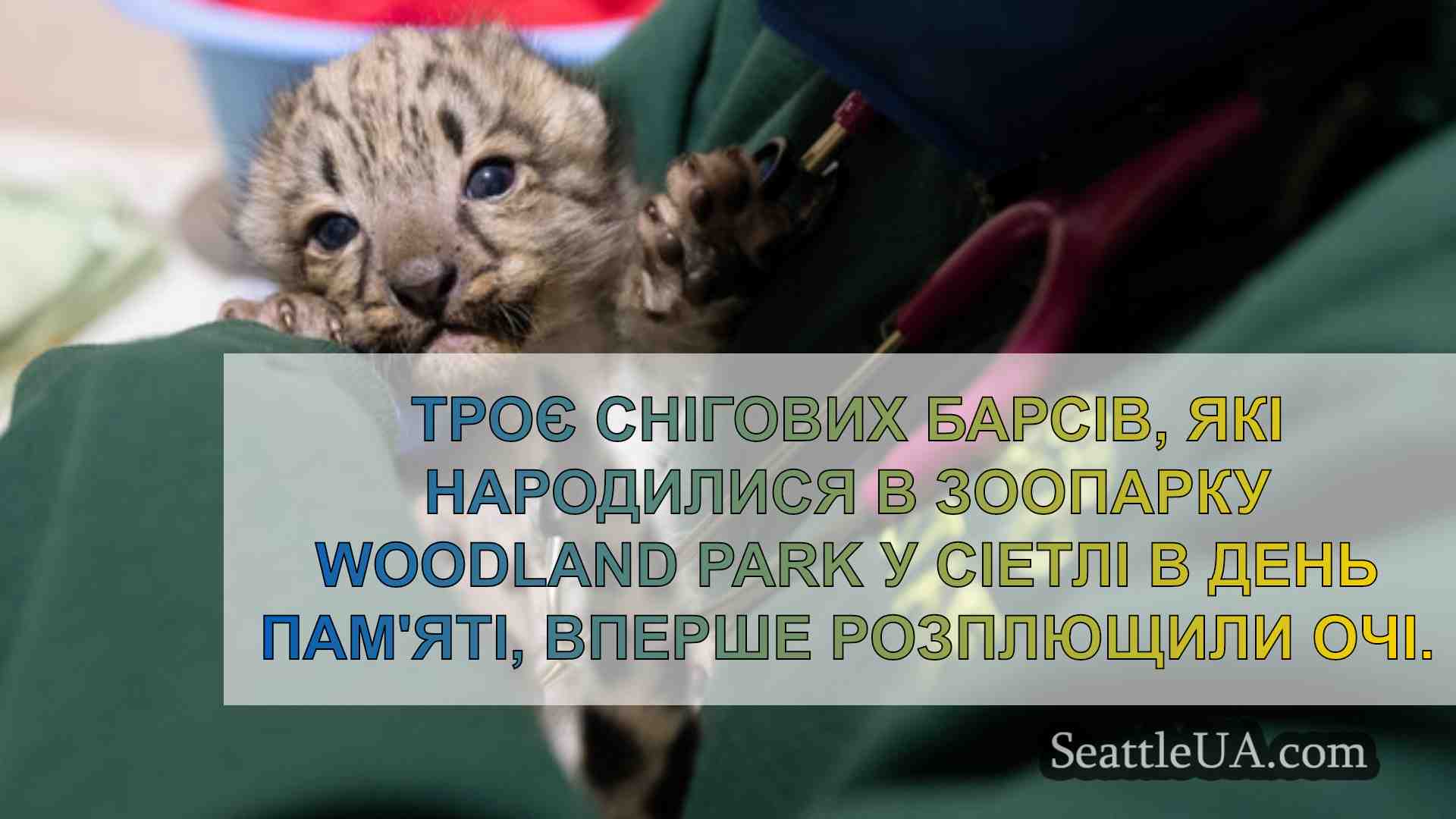 Новини Сіетла SeattleUA