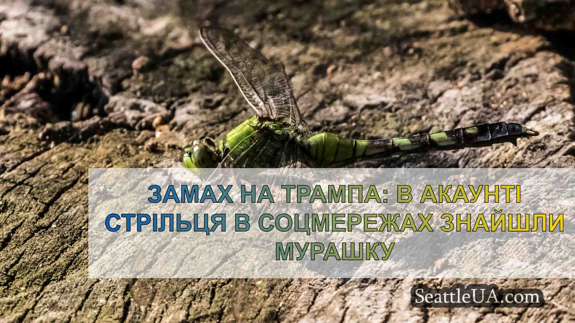 Новини Сіетла SeattleUA
