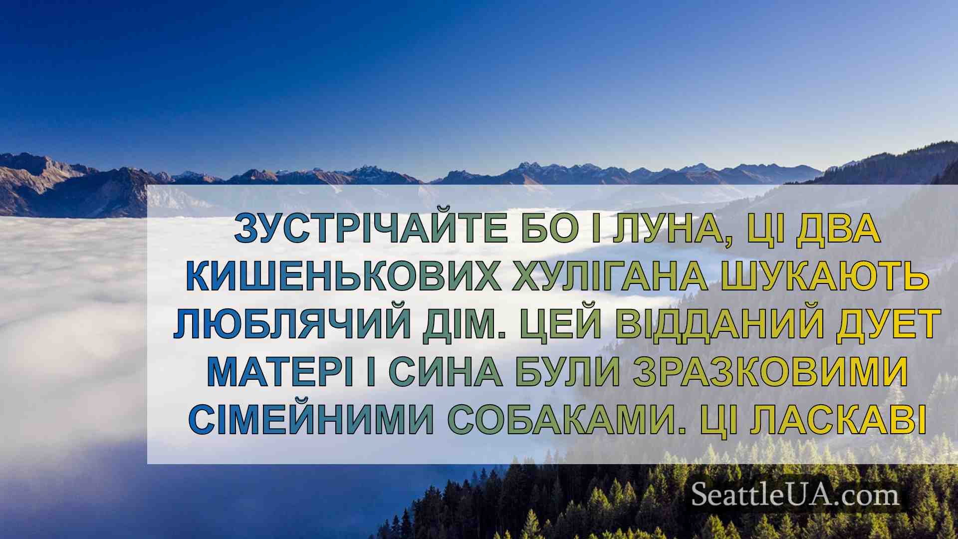 Новини Сіетла SeattleUA