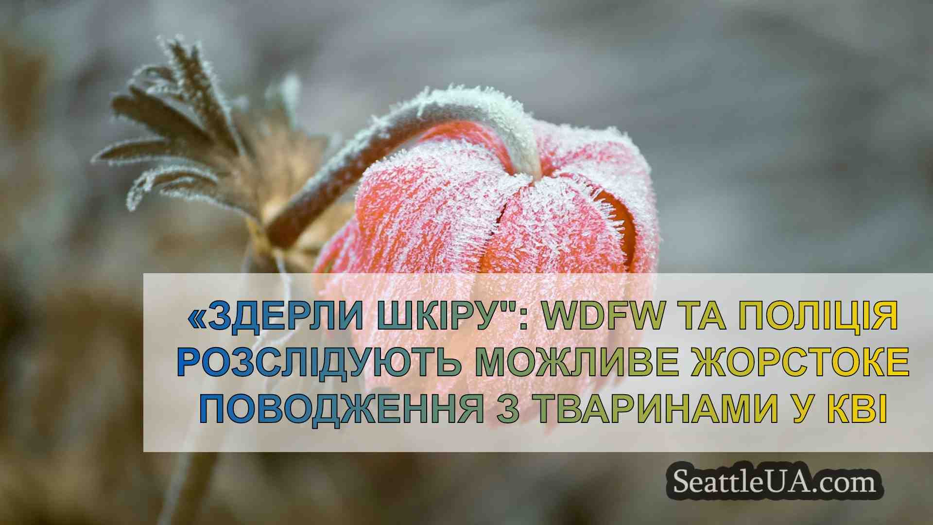 Новини Сіетла SeattleUA