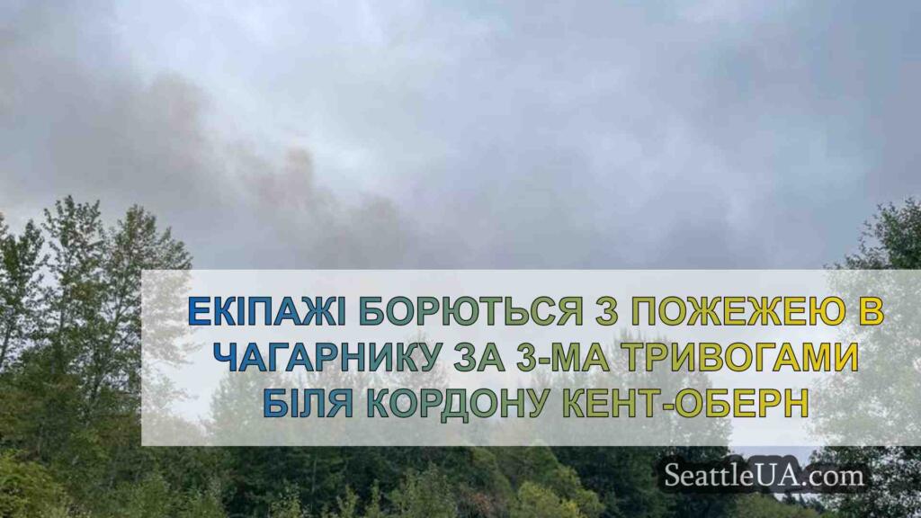 Екіпажі борються з пожежею в чагарнику