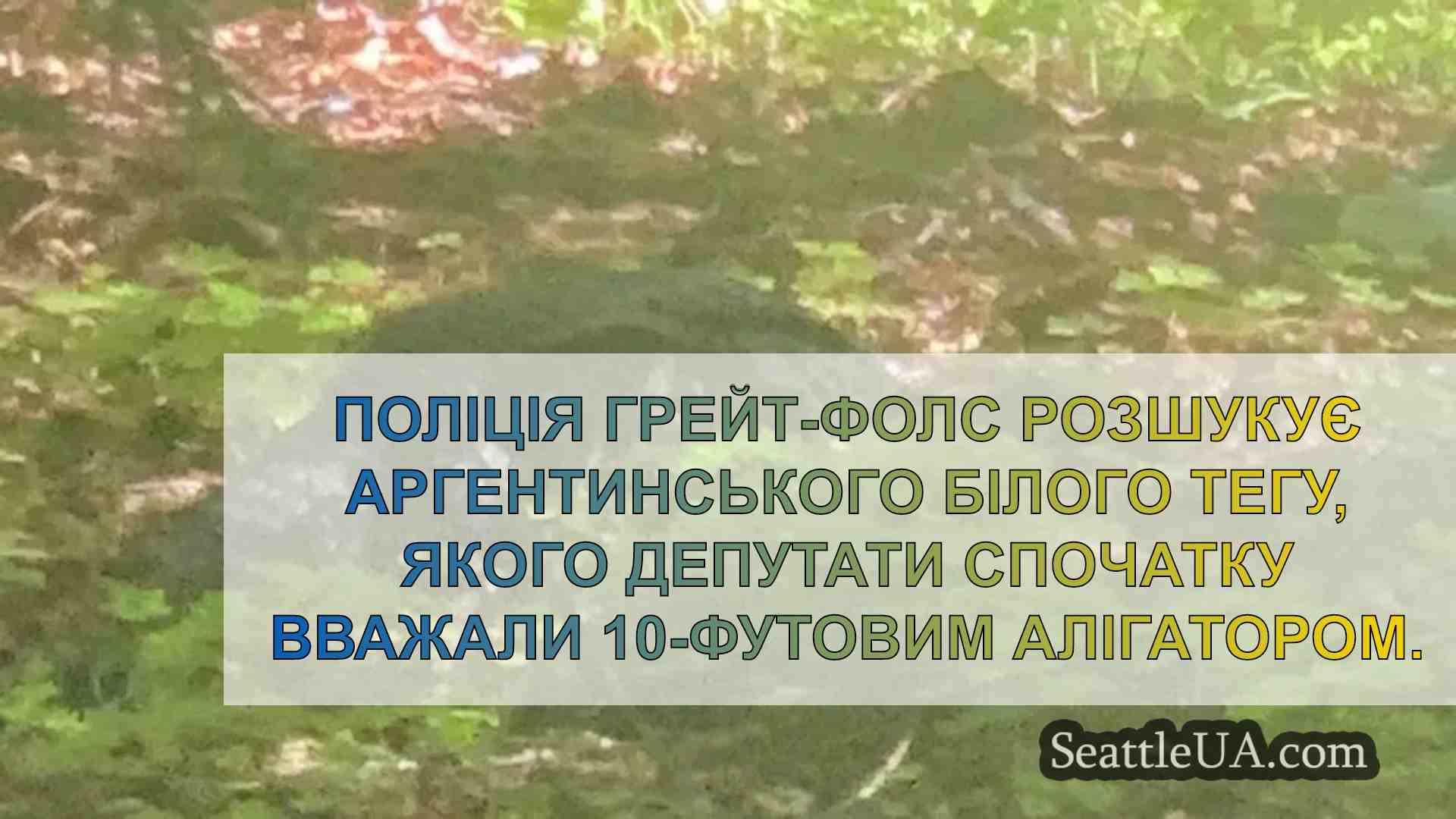 Поліція Грейт-Фоллс полює на великого