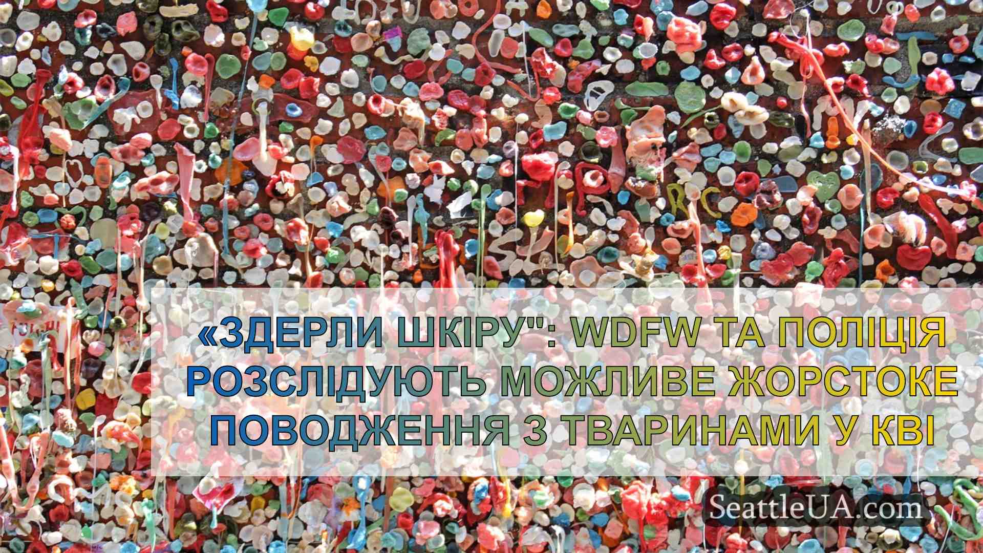 «Здерли шкіру: WDFW та поліція