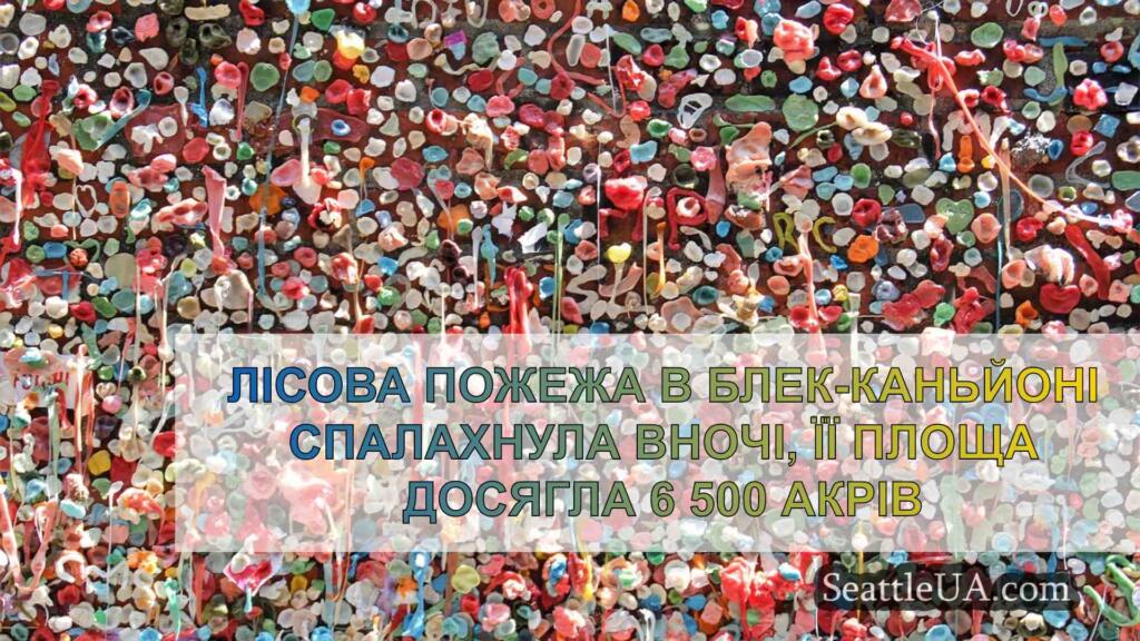 Лісова пожежа в Блек-Каньйоні