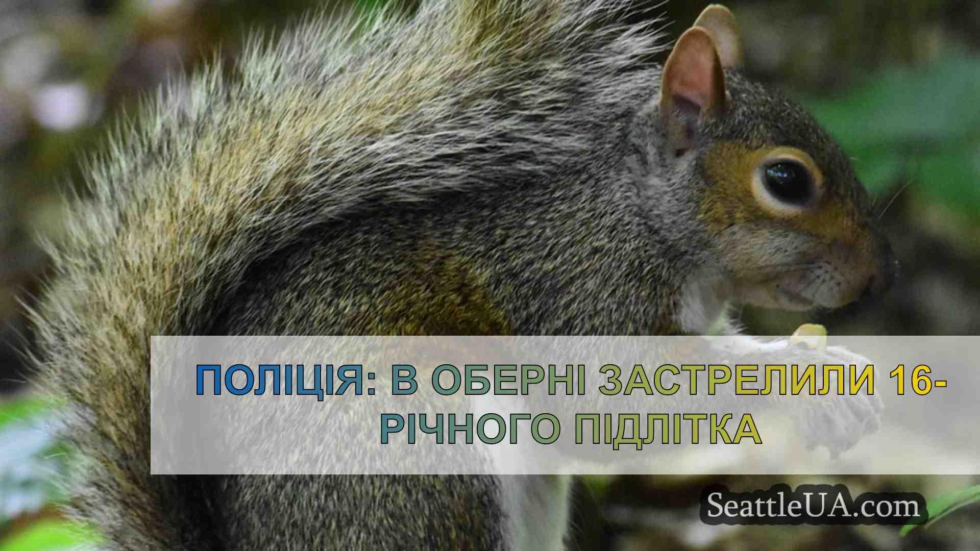 Новини Сіетла SeattleUA