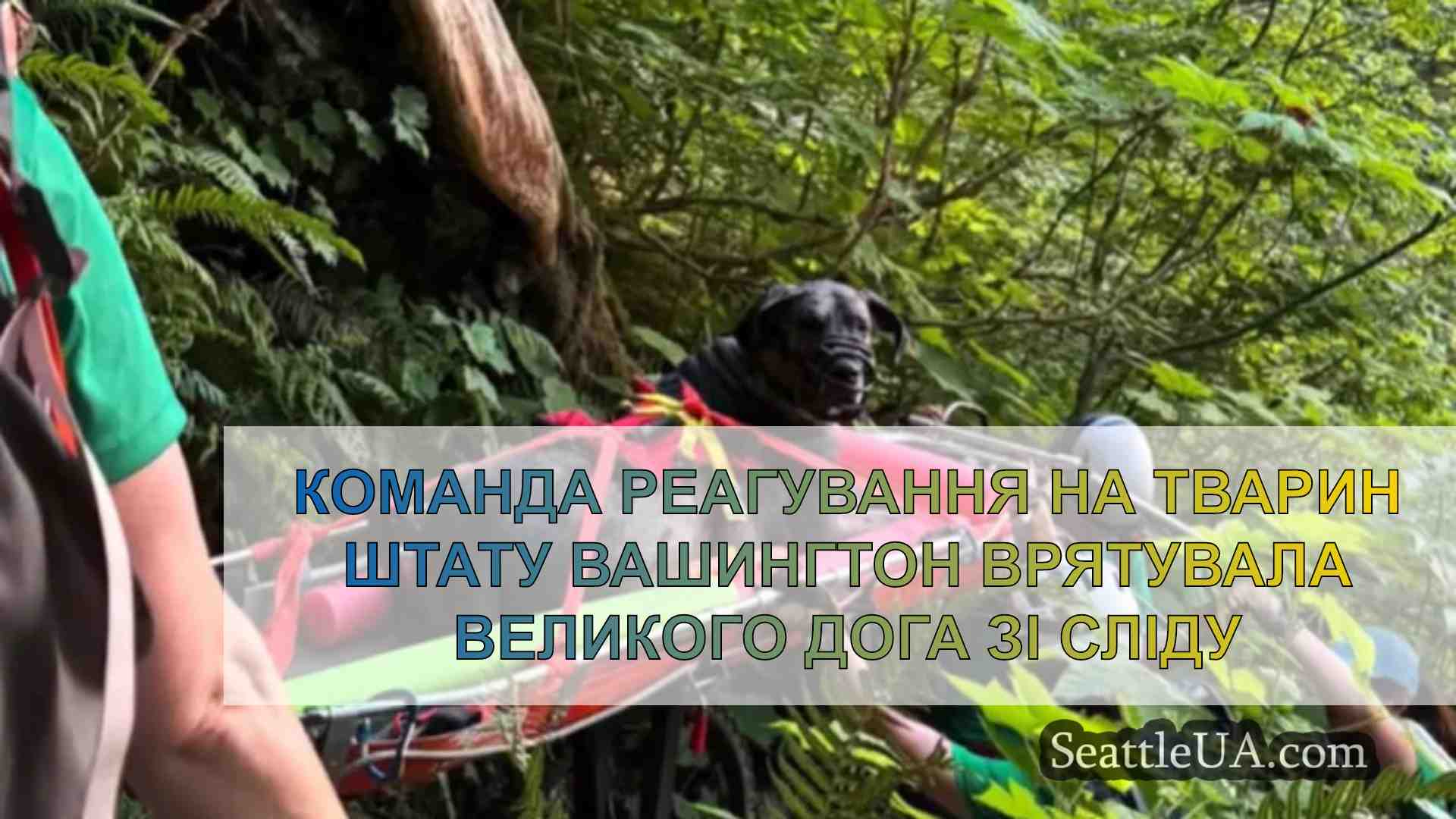 Команда реагування на тварин штату