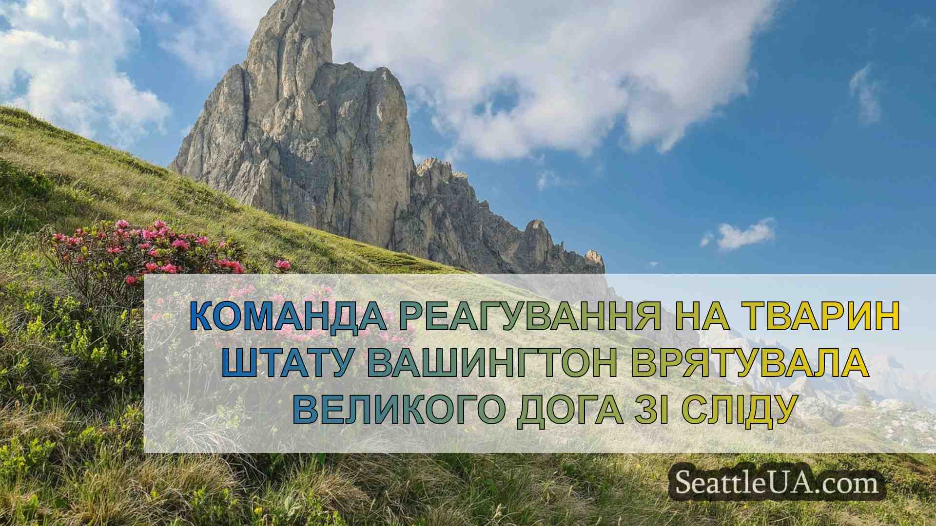 Новини Сіетла SeattleUA