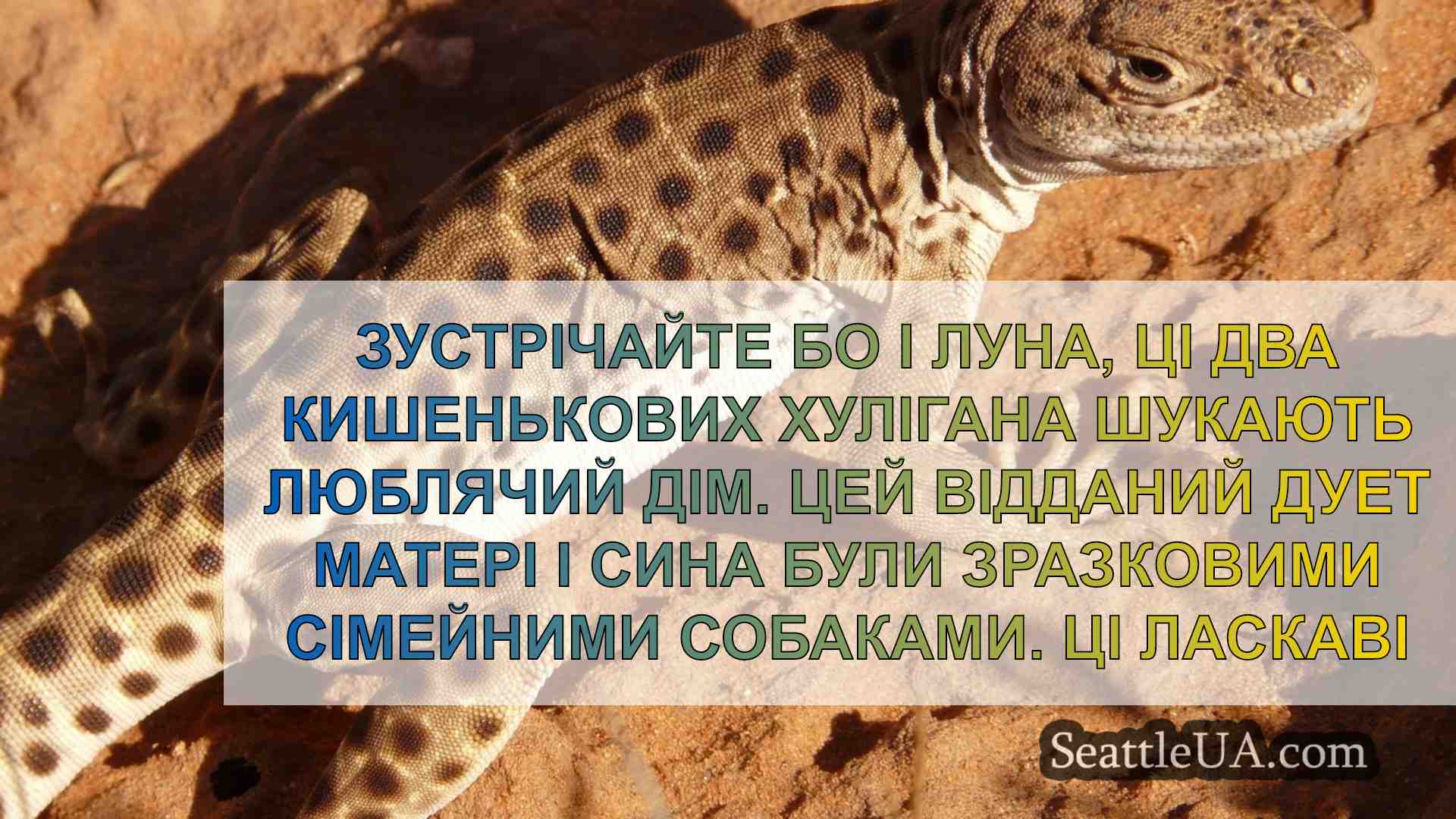 Новини Сіетла SeattleUA