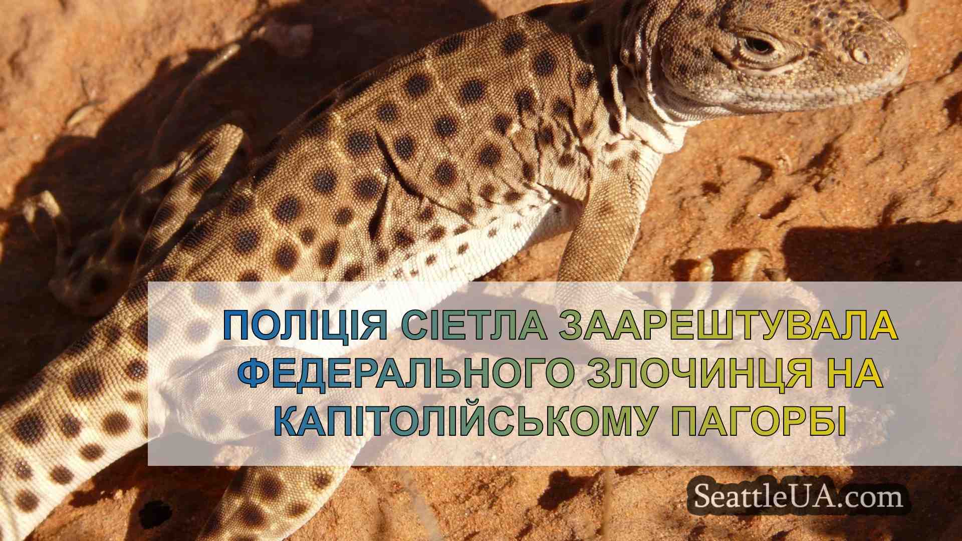 Новини Сіетла SeattleUA