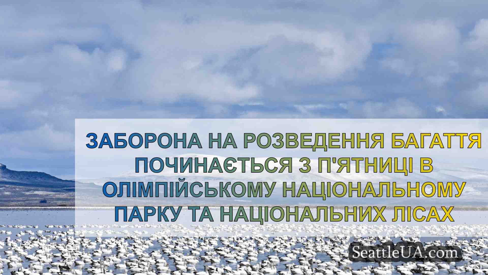 Новини Сіетла SeattleUA