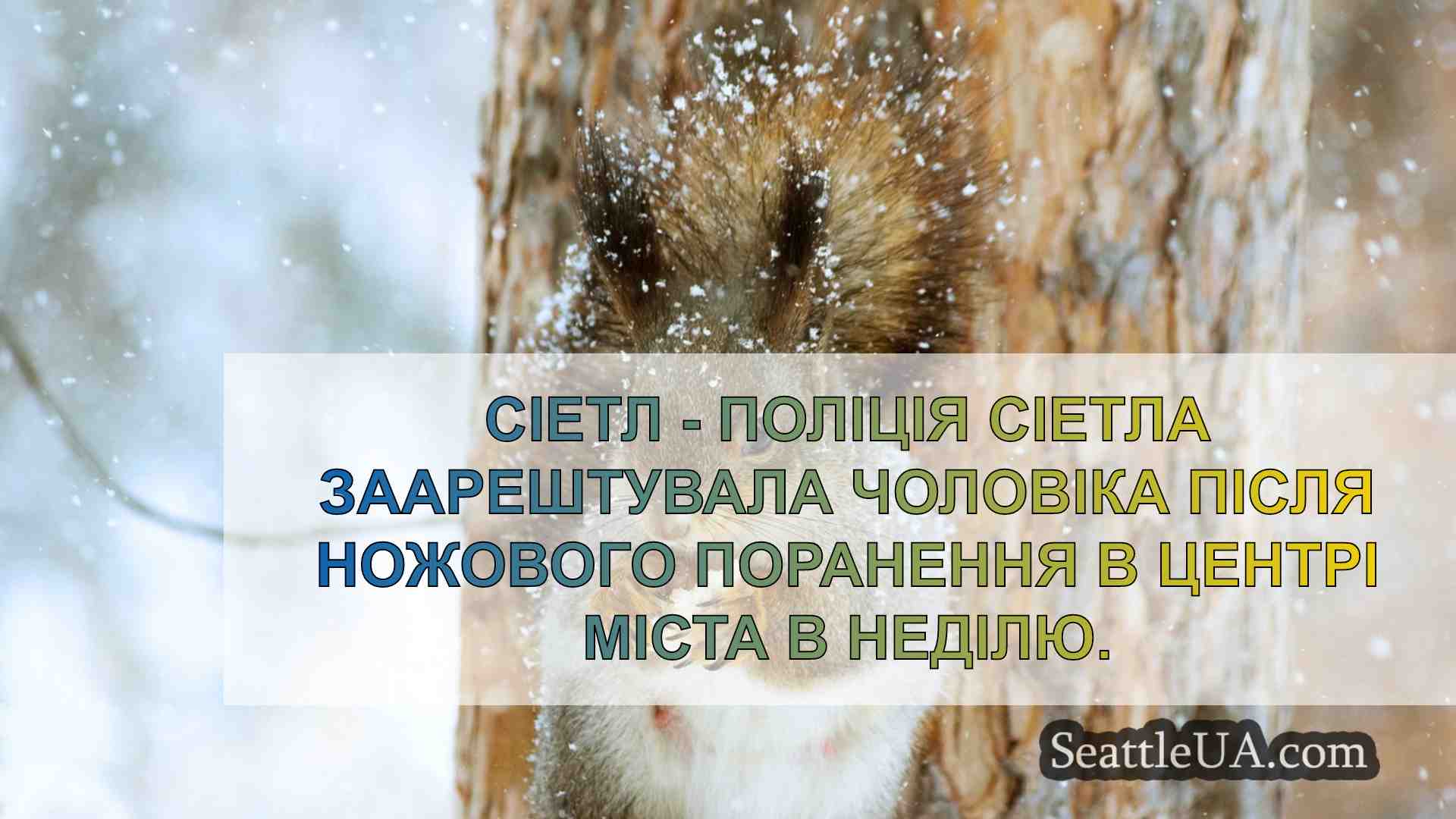 Новини Сіетла SeattleUA