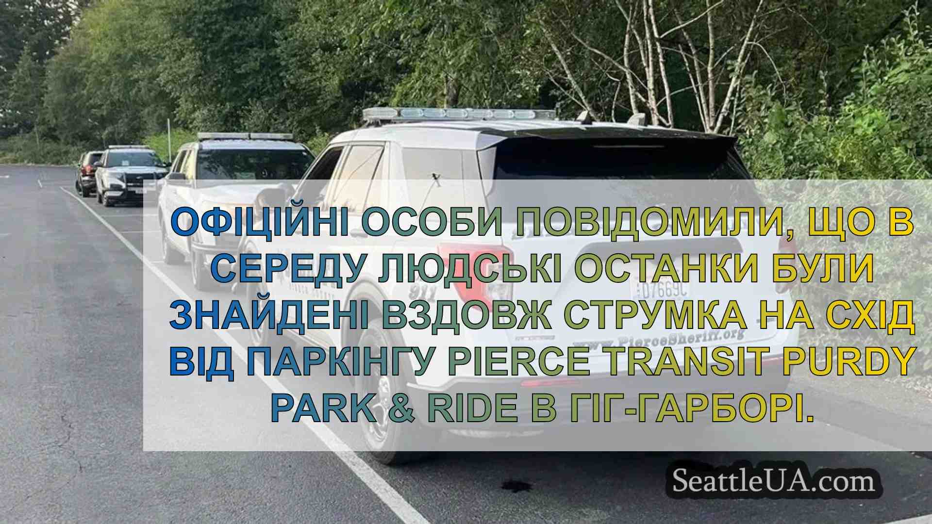 Людські останки знайдено вздовж струмка