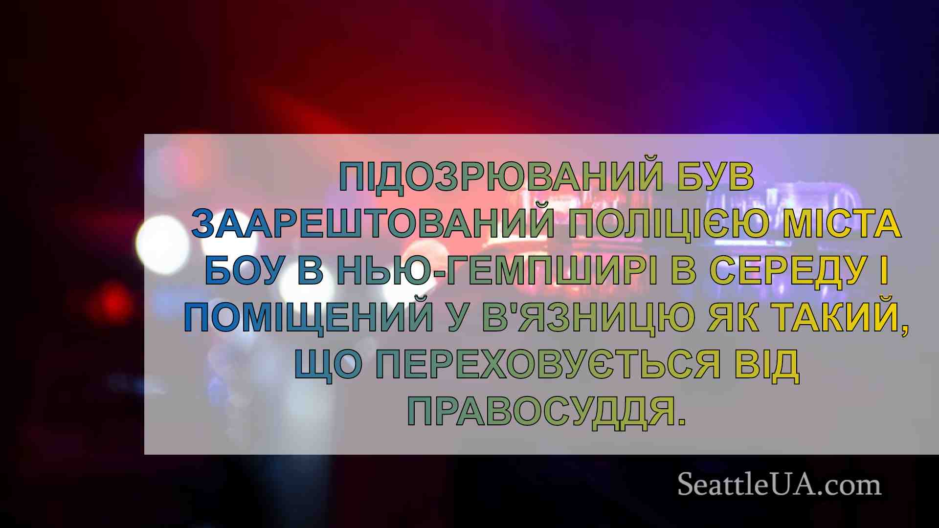 Заарештовано чоловіка, причетного до
