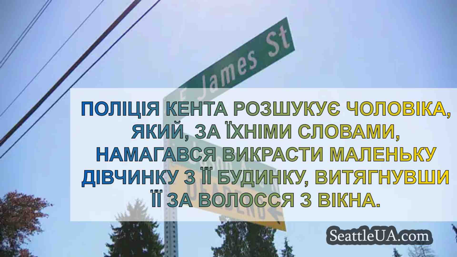Чоловік намагався викрасти молоду
