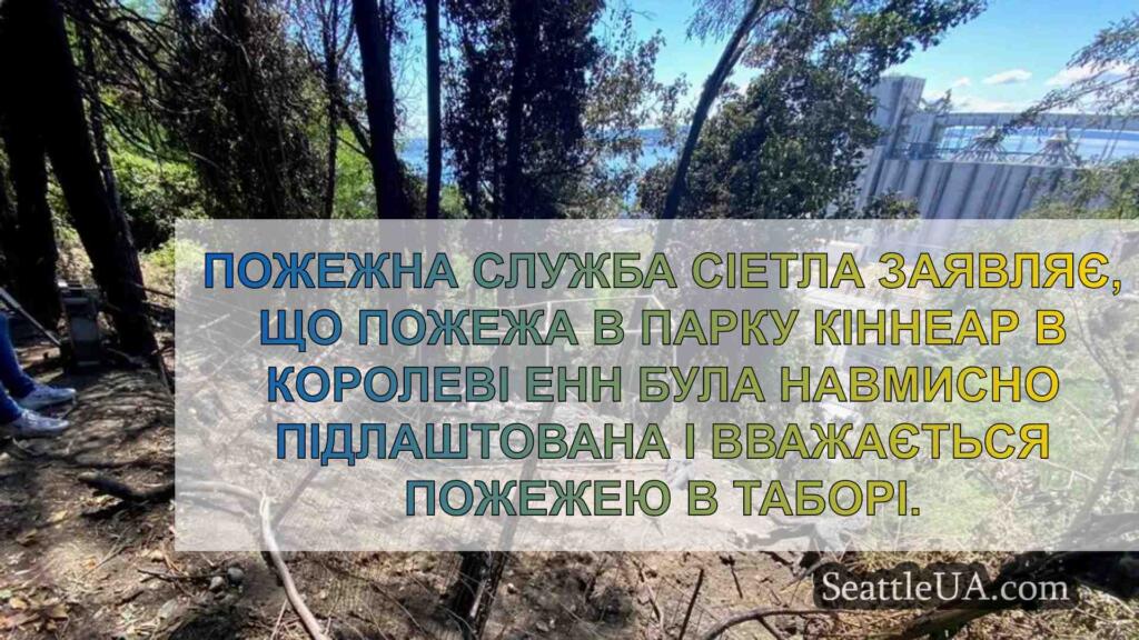 Умисний підпал табору в парку Кіннеар