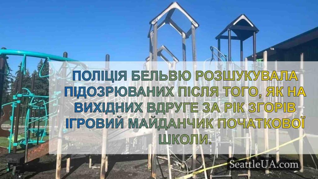 Дитячий майданчик у Бельвю горить