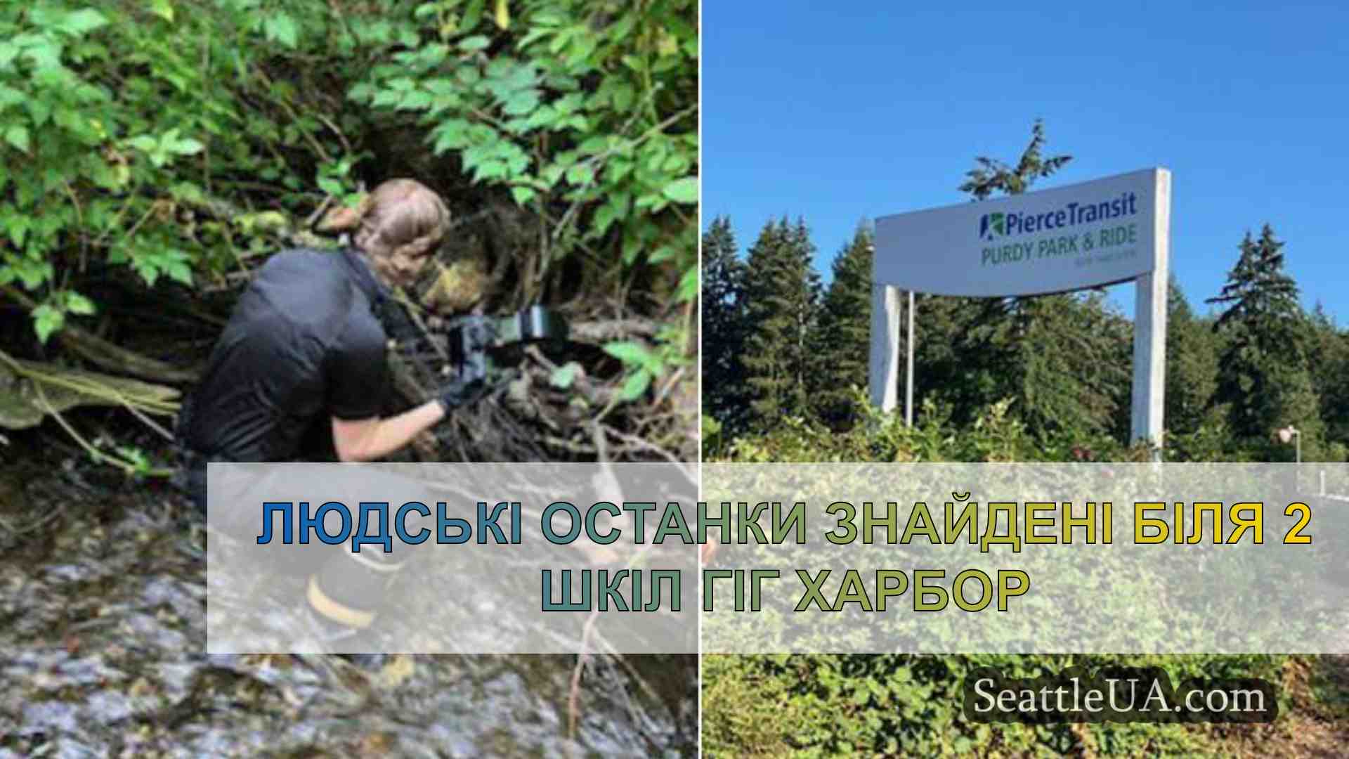 Людські останки знайдені біля 2 шкіл