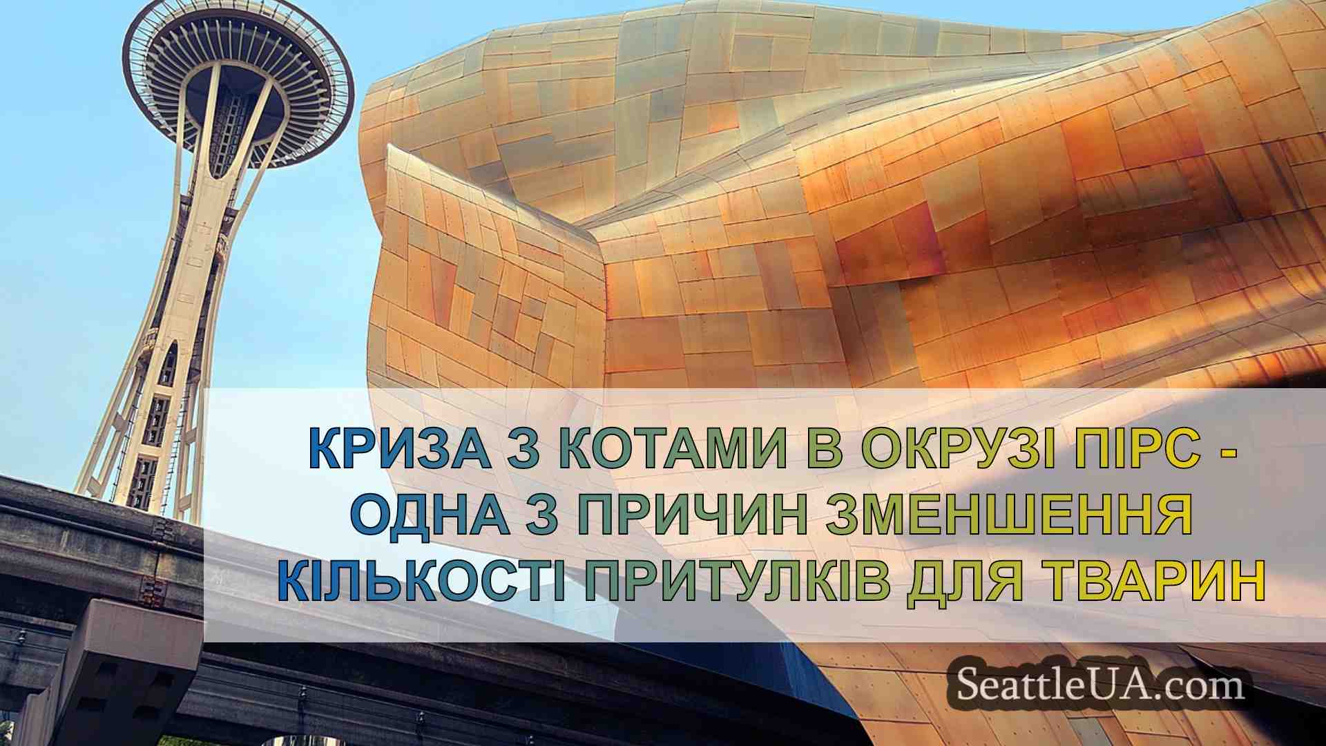 Криза з котами в окрузі Пірс - одна з