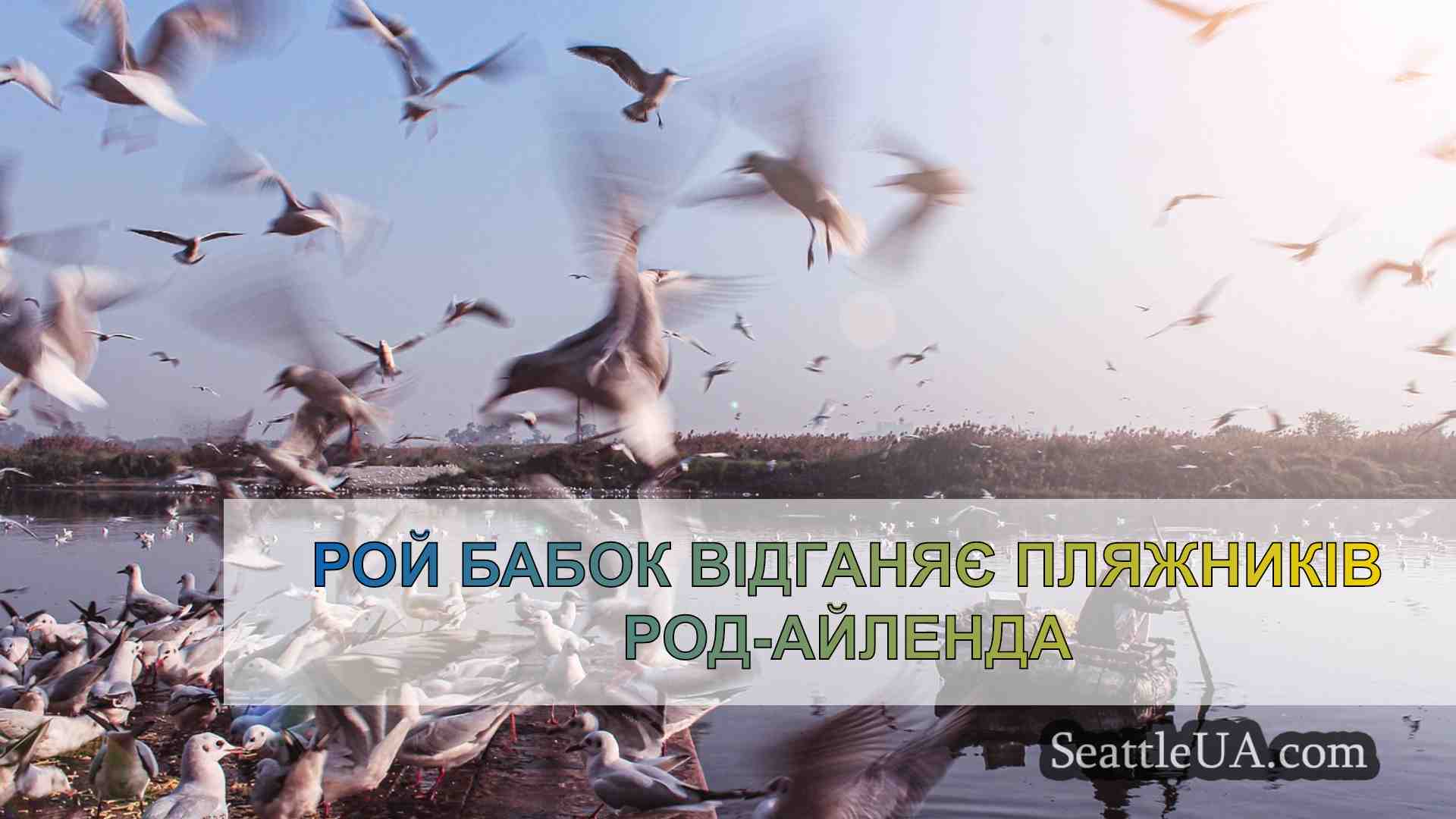 Новини Сіетла SeattleUA