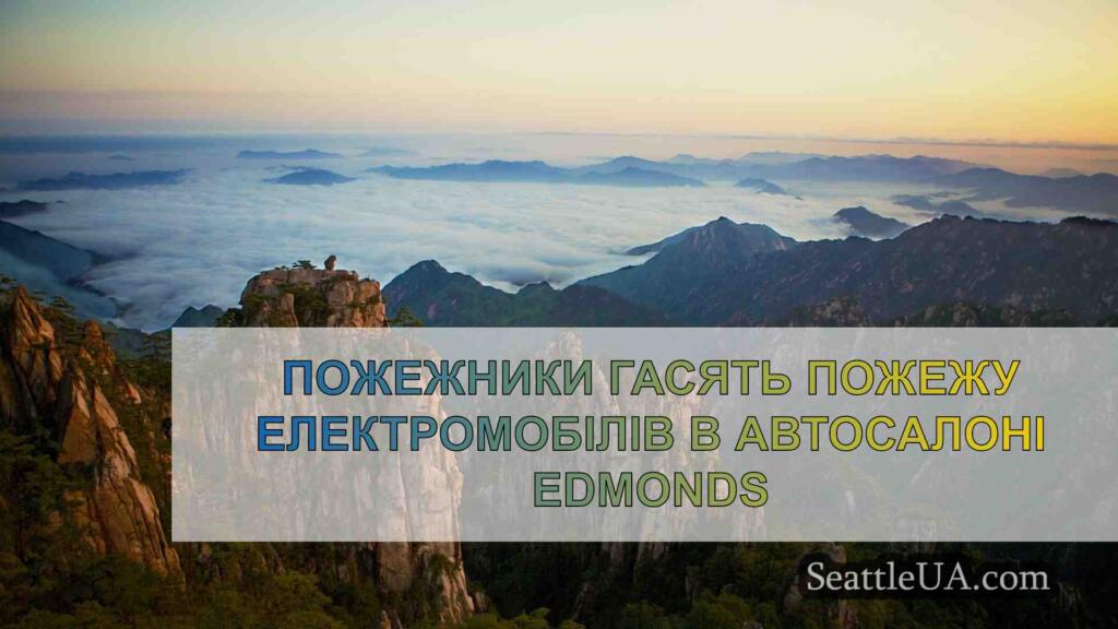 Пожежники гасять пожежу електромобілів